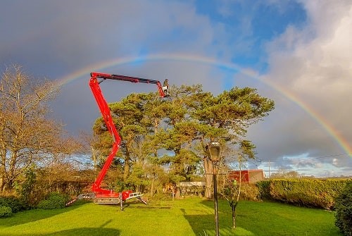 Trimming trees can pose a higher risk of electrocution if controls on the work or access to the danger area are inadequate. Image: IPAF